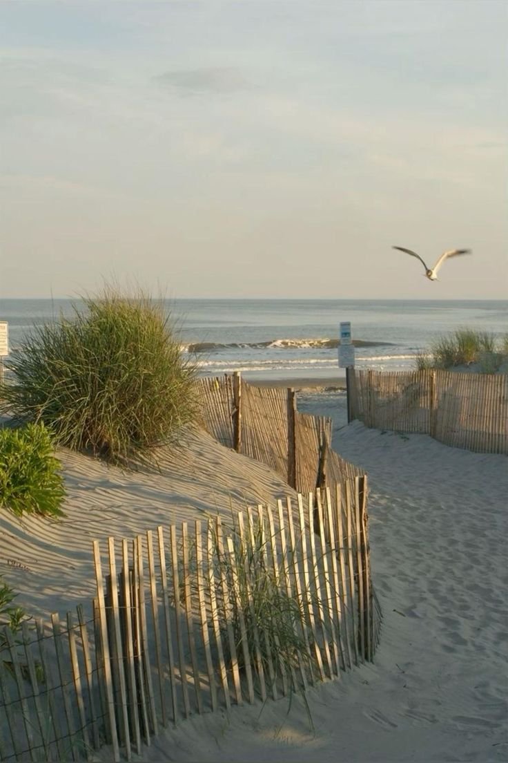 Wildwood Beach